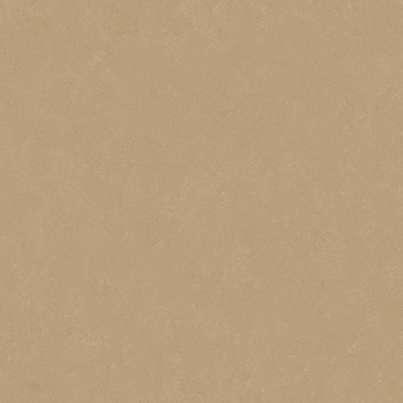 Altro Orchestra Latin Sheet Vinyl - DCTUK