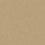 Altro Orchestra Latin Sheet Vinyl - DCTUK