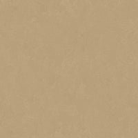 Altro Orchestra Latin Sheet Vinyl