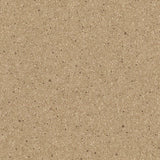Altro Orchestra Oboe Sheet Vinyl - DCTUK
