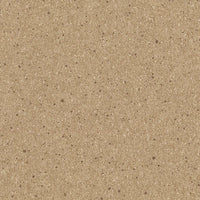 Altro Orchestra Oboe Sheet Vinyl