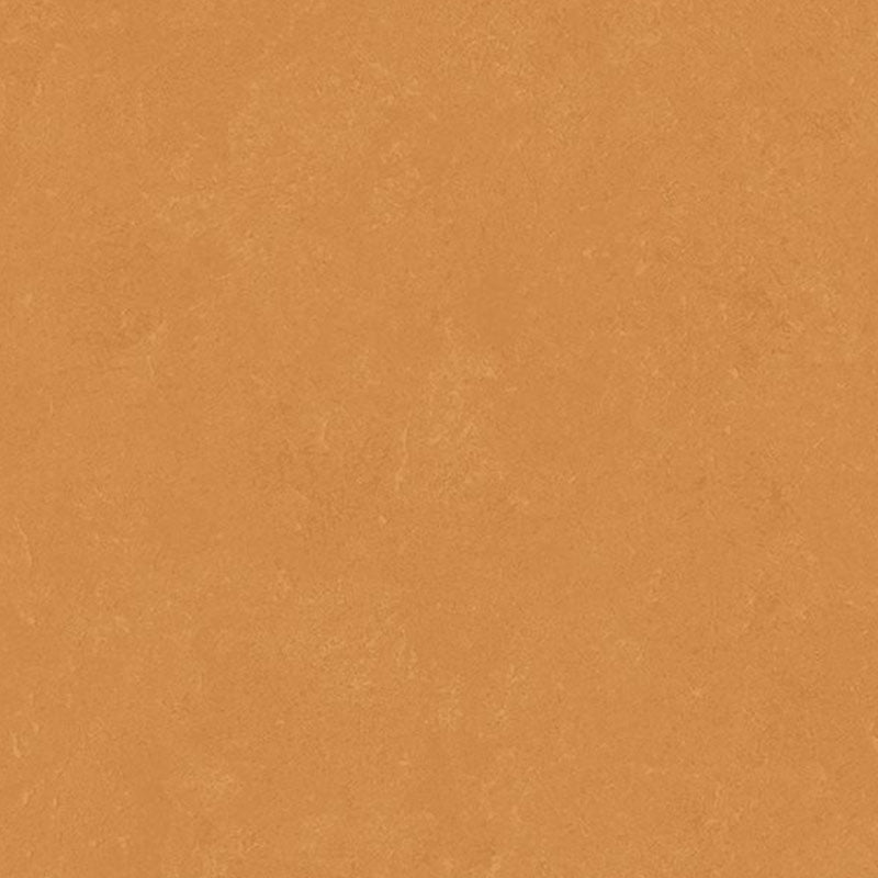 Altro Orchestra Pop Sheet Vinyl - DCTUK