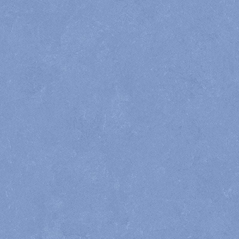 Altro Orchestra Rap Sheet Vinyl - DCTUK