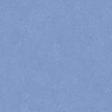 Altro Orchestra Rap Sheet Vinyl - DCTUK