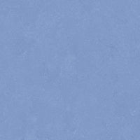 Altro Orchestra Rap Sheet Vinyl
