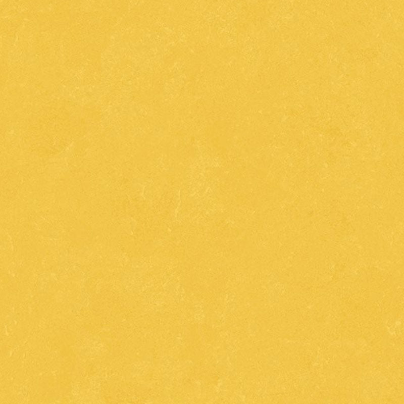 Altro Orchestra Reggae Sheet Vinyl - DCTUK