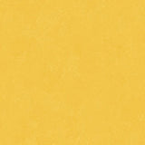 Altro Orchestra Reggae Sheet Vinyl - DCTUK