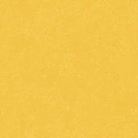 Altro Orchestra Reggae Sheet Vinyl