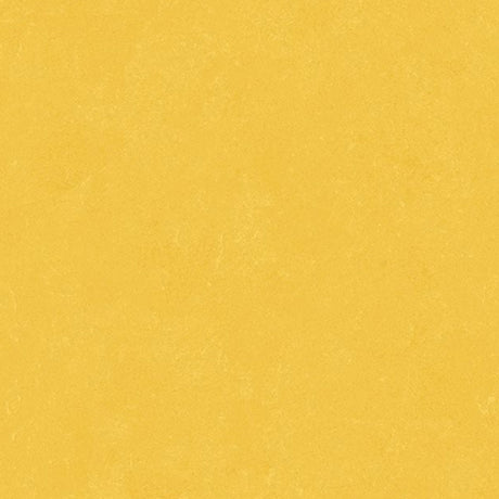 Altro Orchestra Reggae Sheet Vinyl - DCTUK