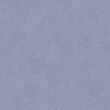 Altro Orchestra Soul Sheet Vinyl - DCTUK