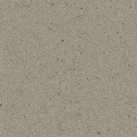 Altro Orchestra Violin Sheet Vinyl - DCTUK