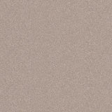 Altro Pisces Driftwood Sheet Vinyl - DCTUK