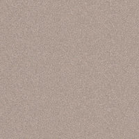 Altro Pisces Driftwood Sheet Vinyl