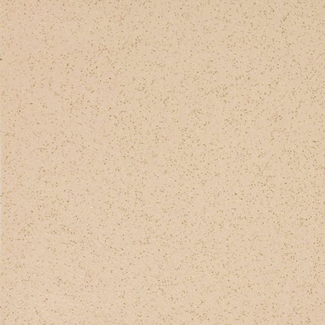Altro Reliance 25 Arena Sheet Vinyl - DCTUK