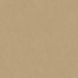 Altro Serenade Maestro Sheet Vinyl - DCTUK