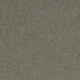Altro Stronghold 30 Tundra Sheet Vinyl - DCTUK