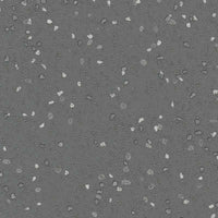Altro Suprema Festuca-SY20010 Sheet Vinyl