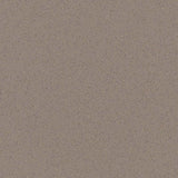 Altro Suprema Hazel - SY20008 Sheet Vinyl - DCTUK