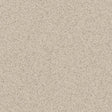 Altro Suprema Primula - SY20023 Sheet Vinyl - DCTUK