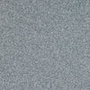 Altro Walkway 20 SD Fog Sheet Vinyl - DCTUK