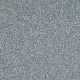 Altro Walkway 20 SD Fog Sheet Vinyl - DCTUK