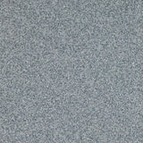 Altro Walkway 20 SD Fog Sheet Vinyl - DCTUK