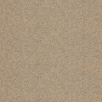 Altro Walkway Biscuit Sheet Vinyl