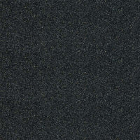 Altro Walkway Black Sheet Vinyl