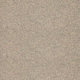 Altro Walkway Bone Sheet Vinyl - DCTUK