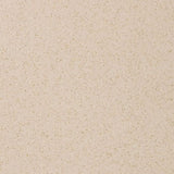 Altro Walkway Minster Sheet Vinyl - DCTUK