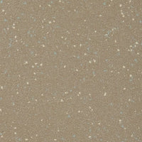 Altro Walkway Monument Sheet Vinyl