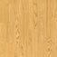 Altro Wood Safety Comfort Field Oak Sheet Vinyl - DCTUK