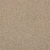 Altro XpressLay Adhesive - Free Biscuit XL22907 Sheet Vinyl - DCTUK