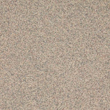 Altro XpressLay Adhesive - Free Bone XL22215 Sheet Vinyl - DCTUK