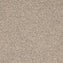 Altro XpressLay Adhesive - Free Bone XL22215 Sheet Vinyl - DCTUK