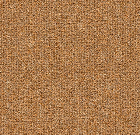 amber forbo tessera layout