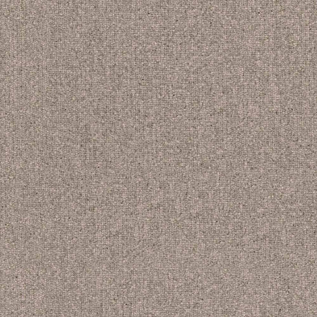 Balsan Avenue 610 Broadloom Carpet from DCTUK
