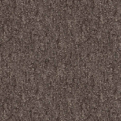 Balsan Avenue 760 Broadloom Carpet from DCTUK