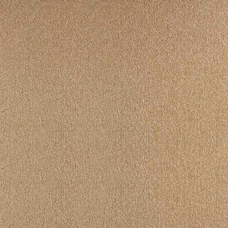 Balsan Bolero 640 Carpet Tiles - DCTUK