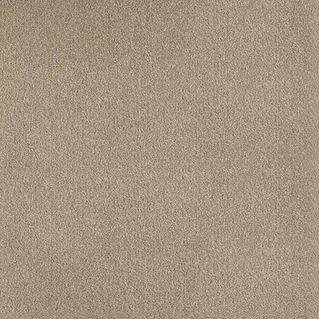 Balsan Bolero 730 Carpet Tiles - DCTUK