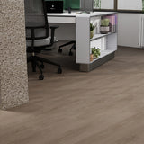 Balsan Elite Looselay Acoustic 55 - Forez Greige Looselay LVT from DCTUK