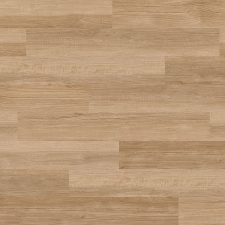 Balsan Elite Looselay Acoustic 55 - Oulanka Isba Looselay LVT from DCTUK