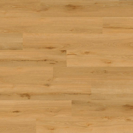Balsan Elite Looselay Acoustic 55 - Sherwood Honey Looselay LVT from DCTUK