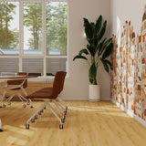 Balsan Elite Looselay Acoustic 55 - Sherwood Nuts Looselay LVT from DCTUK
