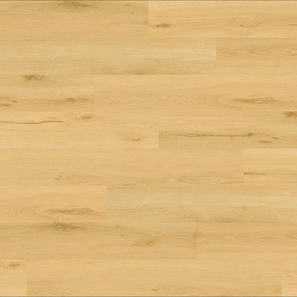 Balsan Elite Looselay Acoustic 55 - Sherwood Nuts Looselay LVT from DCTUK