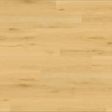 Balsan Elite Looselay Acoustic 55 - Sherwood Nuts Looselay LVT from DCTUK