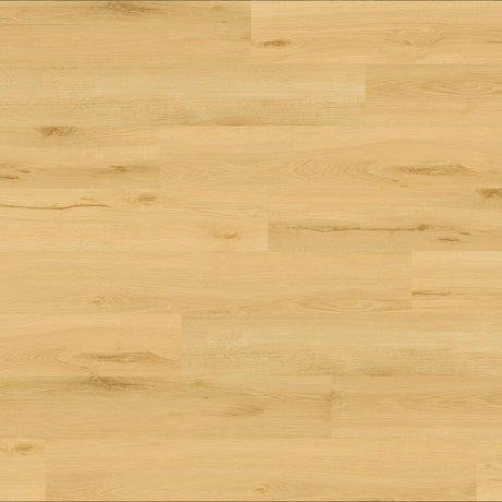 Balsan Elite Looselay Acoustic 55 - Sherwood Nuts Looselay LVT from DCTUK