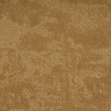 Balsan Louvre 381 Broadloom Carpet - DCTUK