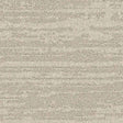 Balsan Sierra 010 Broadloom Carpet from DCTUK