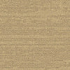 Balsan Sierra 311 Broadloom Carpet from DCTUK